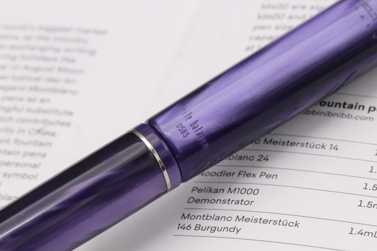 Delta Write Balance Purple Palladium Trim Fountain Pen