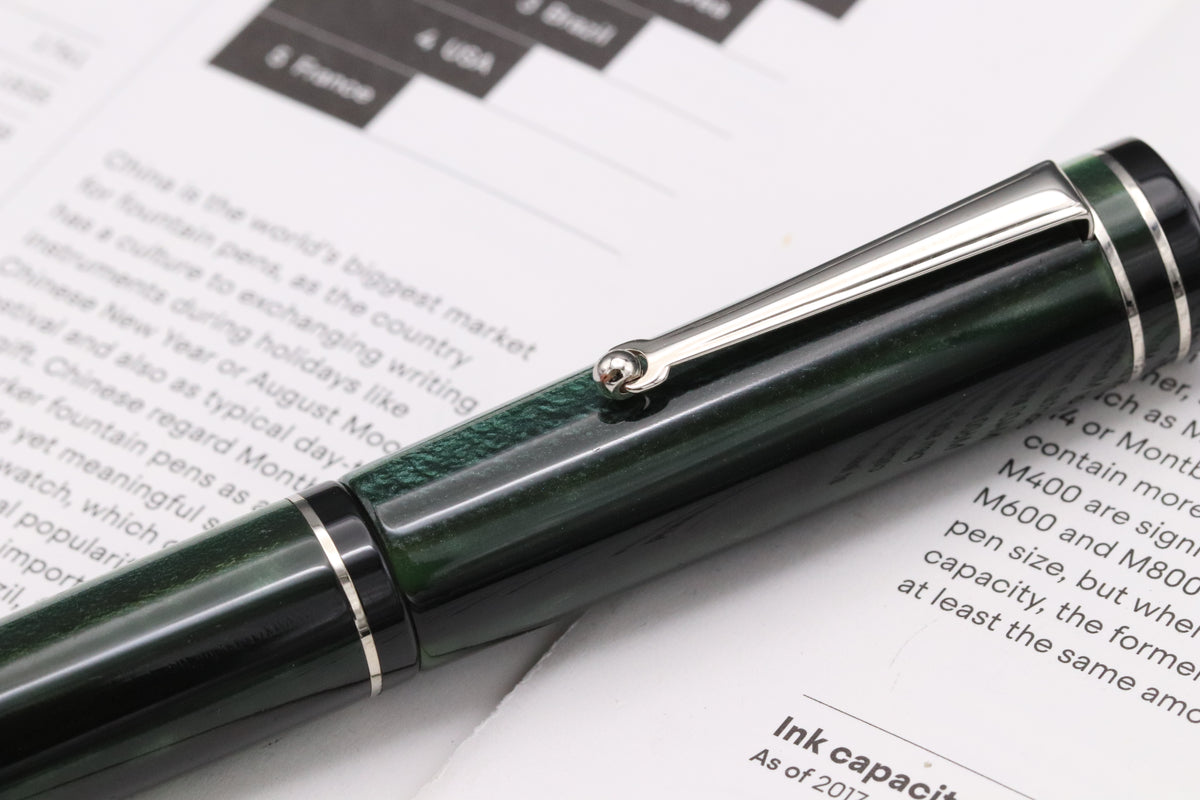 Delta Write Balance Green Palladium Trim Fountain Pen