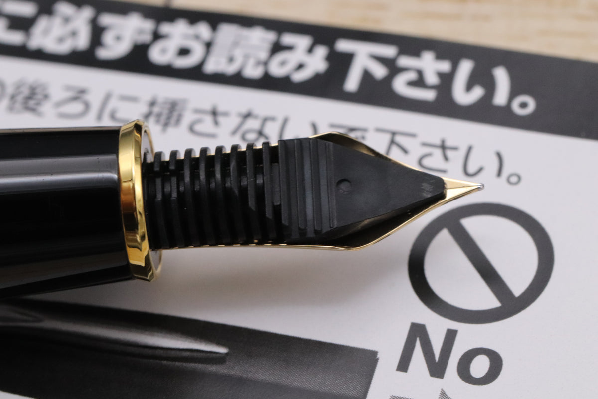 Platinum Izumo Matte Tagayasan Wood Fountain Pen - NEVER INKED