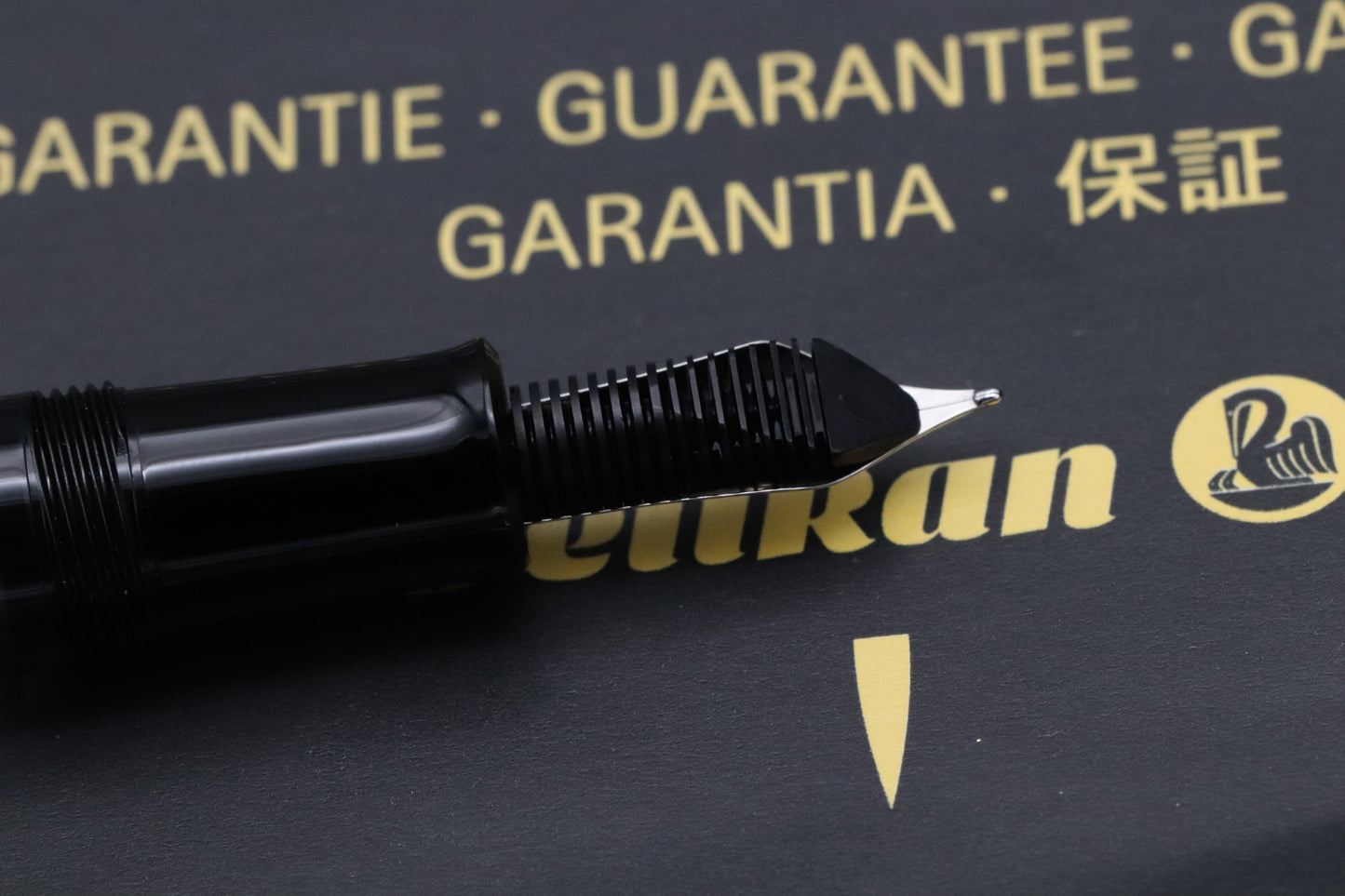 Pelikan Souveran M205 'Deutsche Telekom' Design Fountain Pen