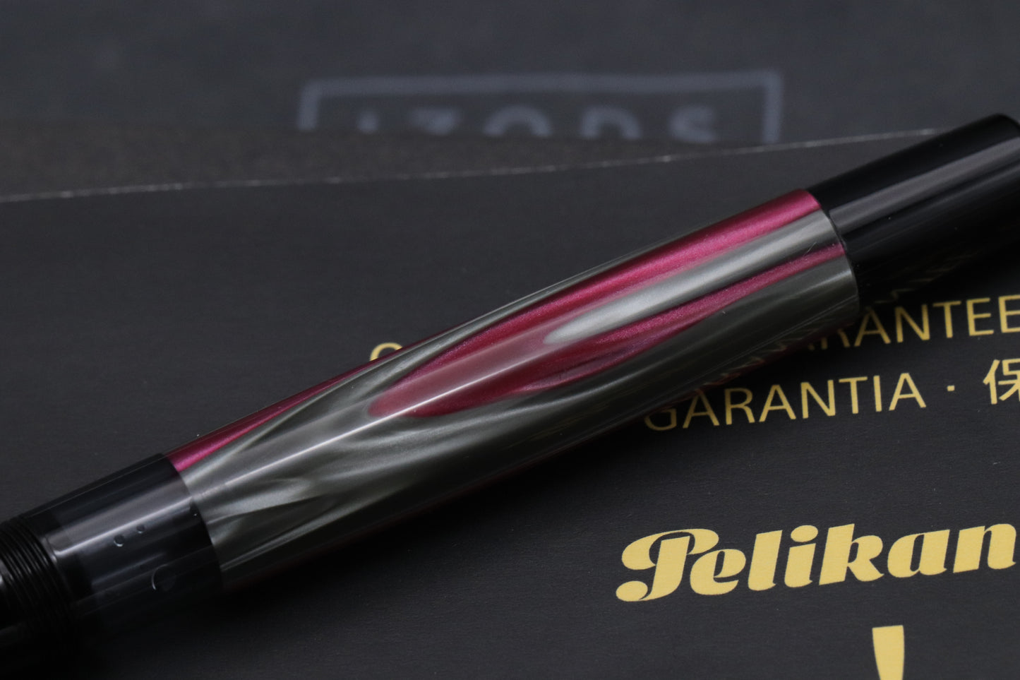 Pelikan Souveran M205 'Deutsche Telekom' Design Fountain Pen