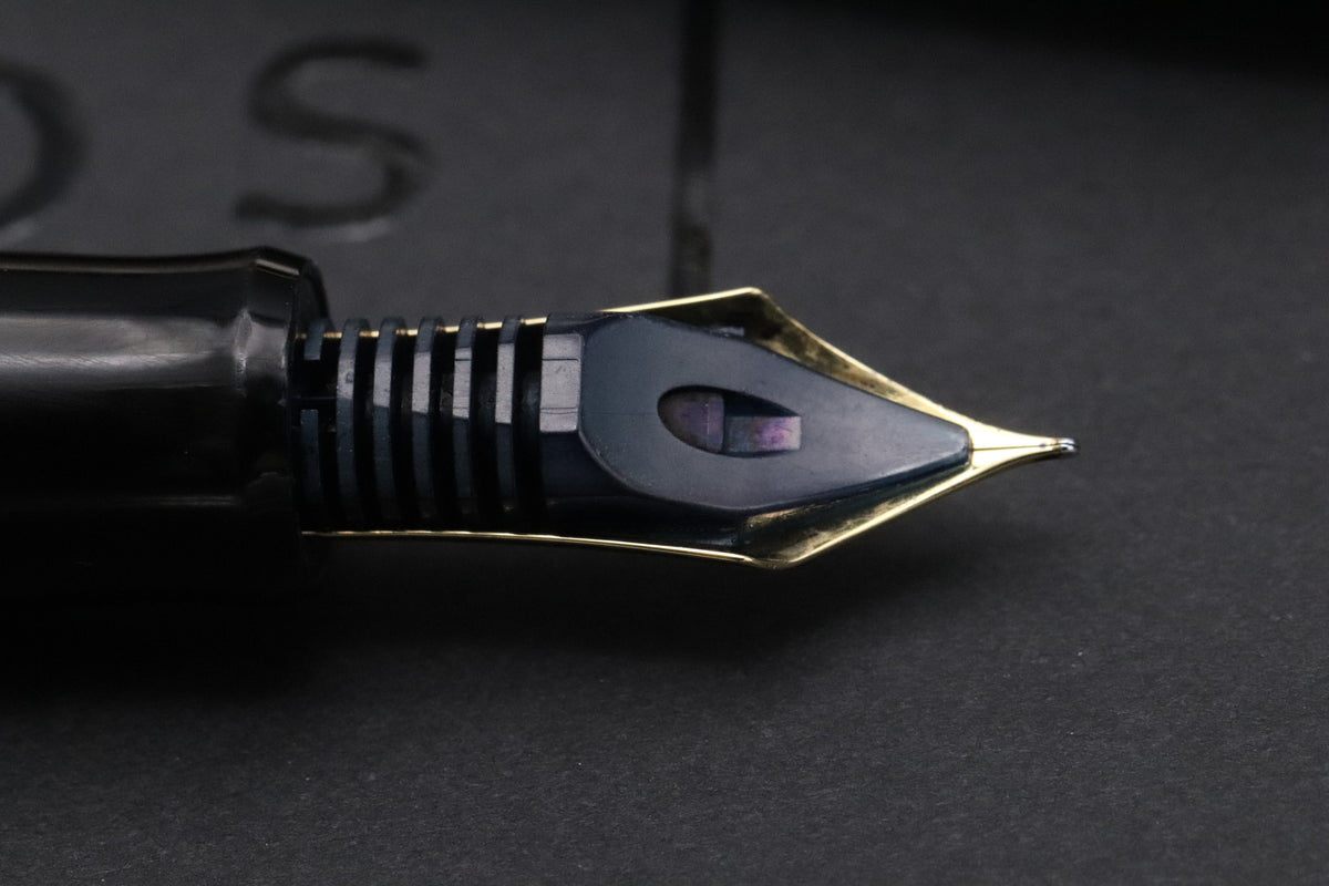 Pilot Custom 745 Sterling Silver Fountain Pen - FM Nib