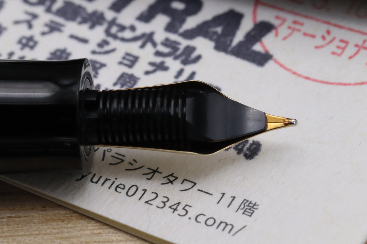 Yurie Sekka Snowflake Maki-e Fountain Pen - UNUSED