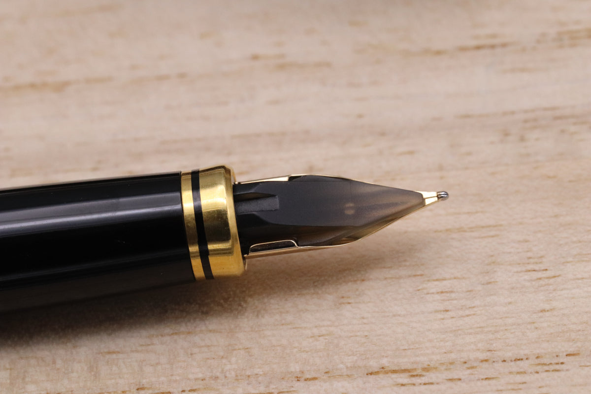 Platinum Kanazawa-Haku Mt. Fuji Fountain Pen