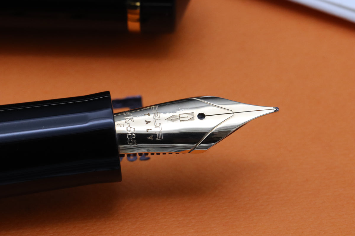 Delta d.V 2.0 Premium Gold Trim Fountain Pen - 14k Fine Nib - DIPPED