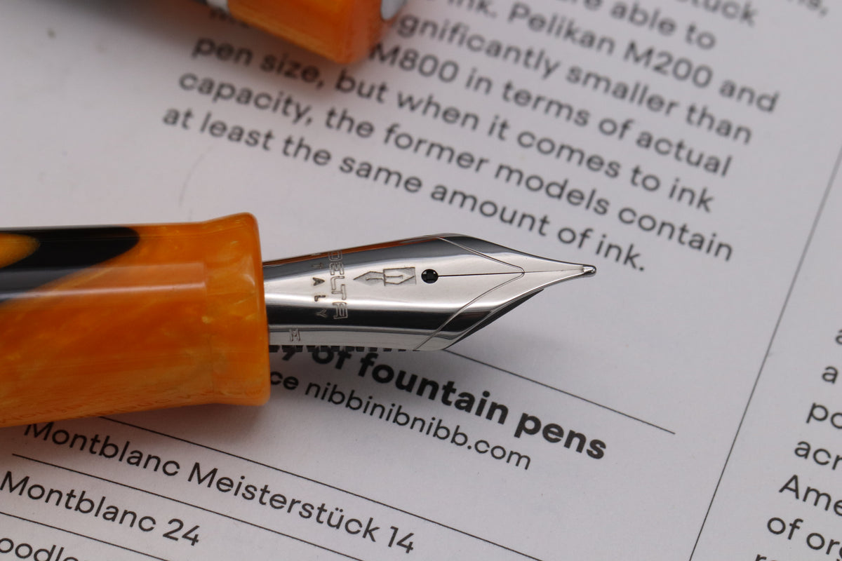 Delta DV Original Mid-Size Masterpiece Palladium Trim Fountain Pen