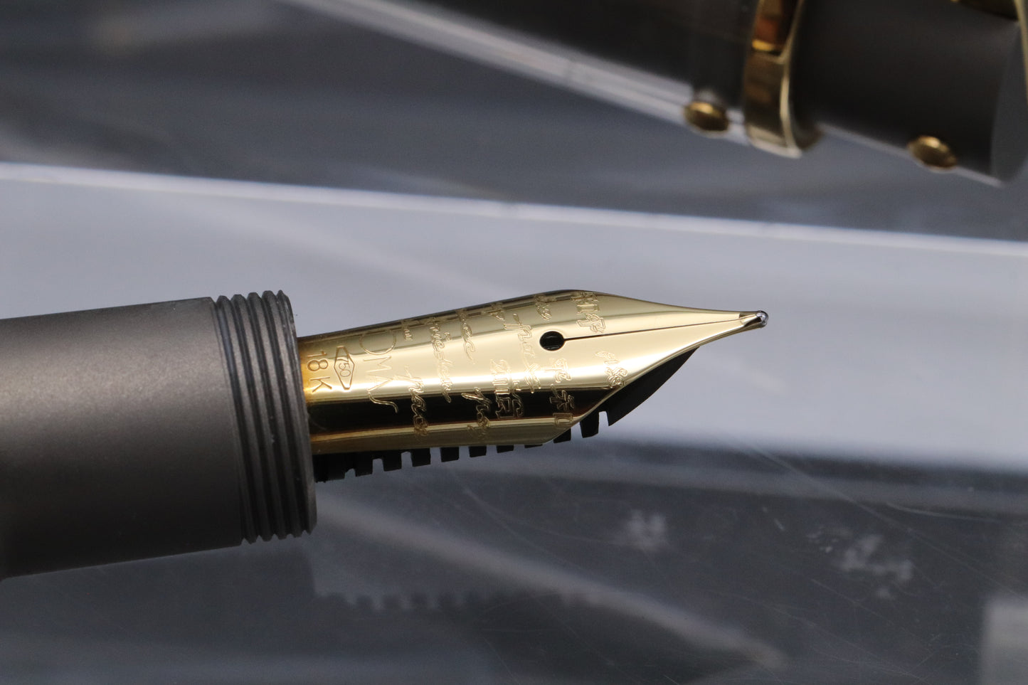 Omas Harmonia Mundi Titanium Gold Limited Edition Fountain Pen - NEVER INKED