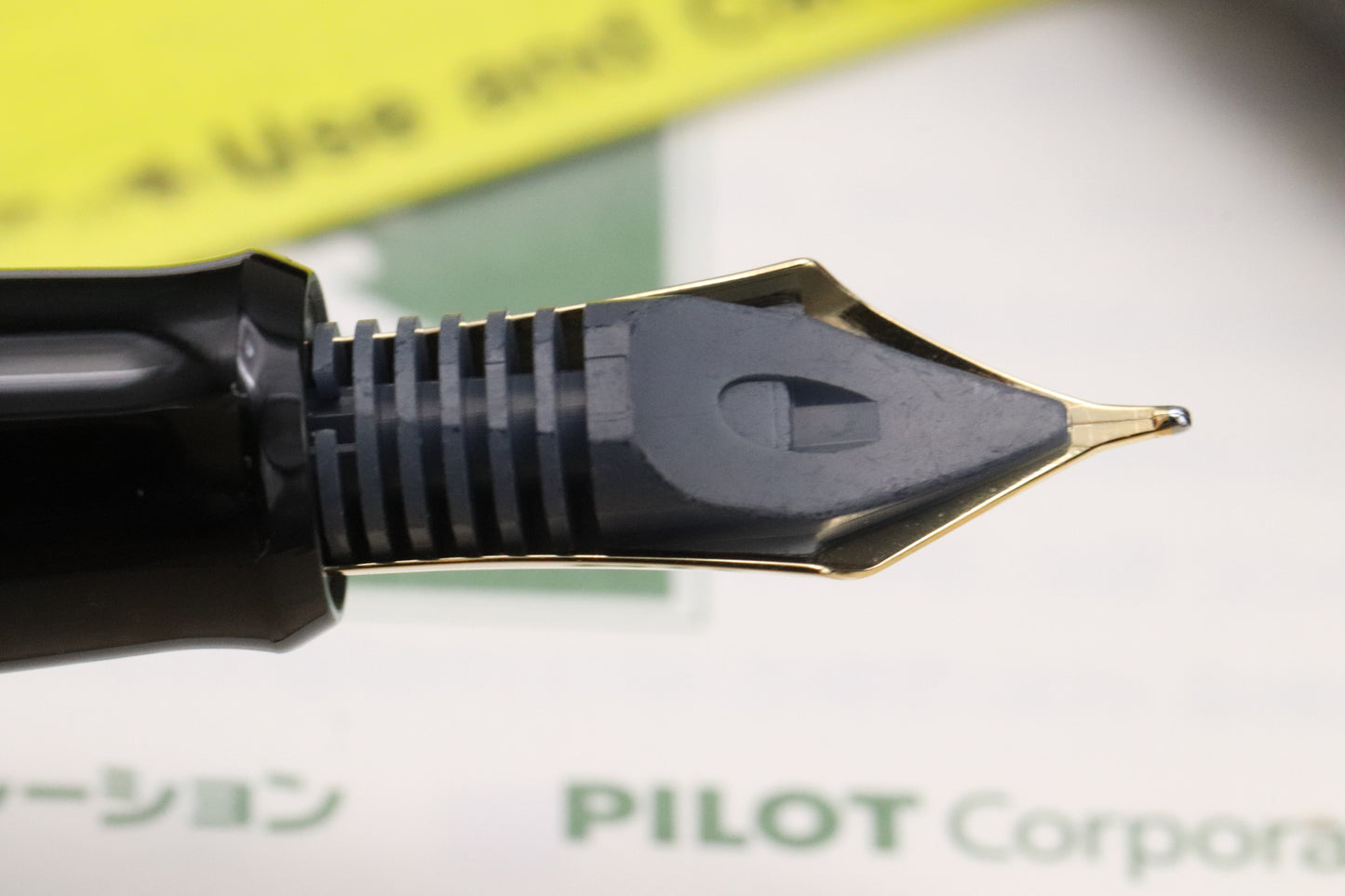 Pilot Maki-e Enthronement Phoenix Limited Edition Fountain Pen