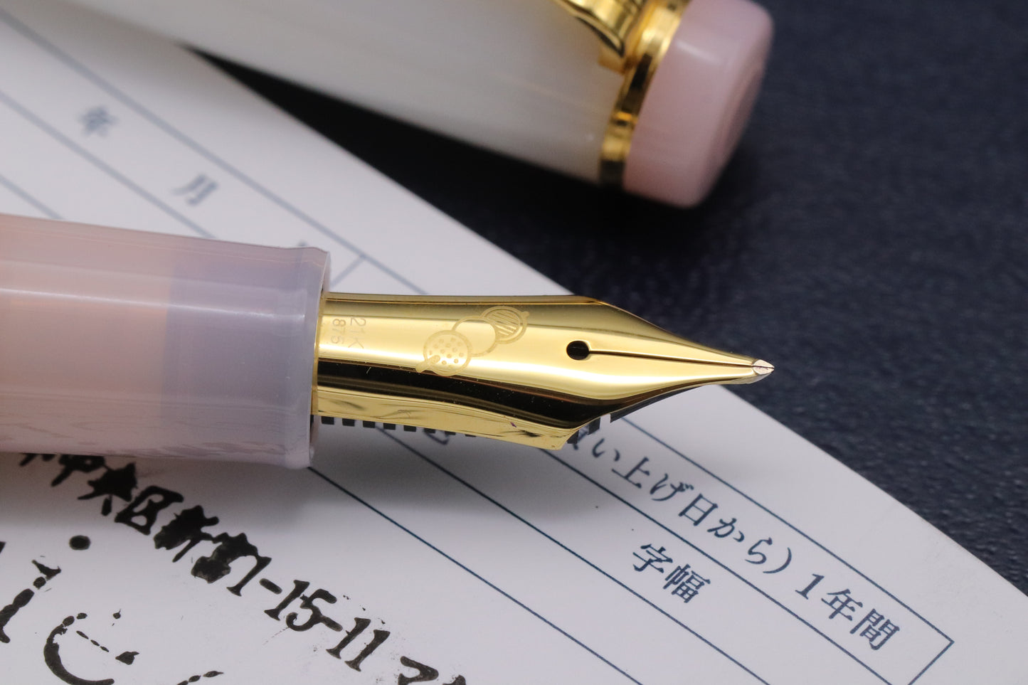 Sailor x Poesie Professional Gear Sanshoku Dango Fountain Pen - Zoom Nib