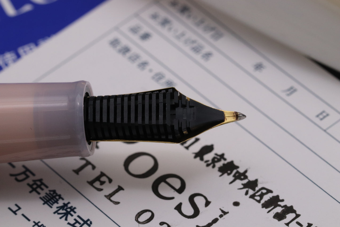 Sailor x Poesie Professional Gear Sanshoku Dango Fountain Pen - Zoom Nib