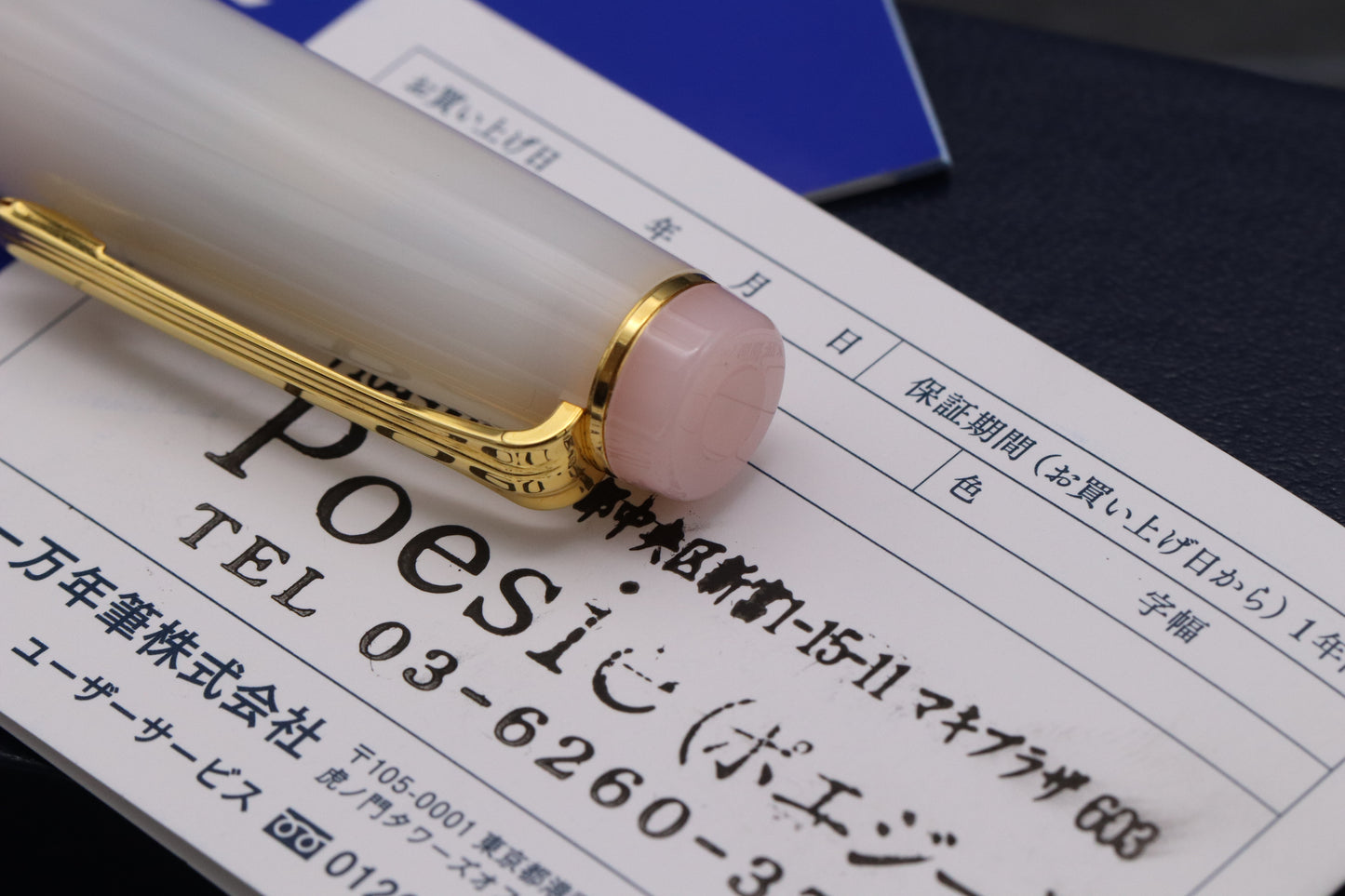 Sailor x Poesie Professional Gear Sanshoku Dango Fountain Pen - Zoom Nib