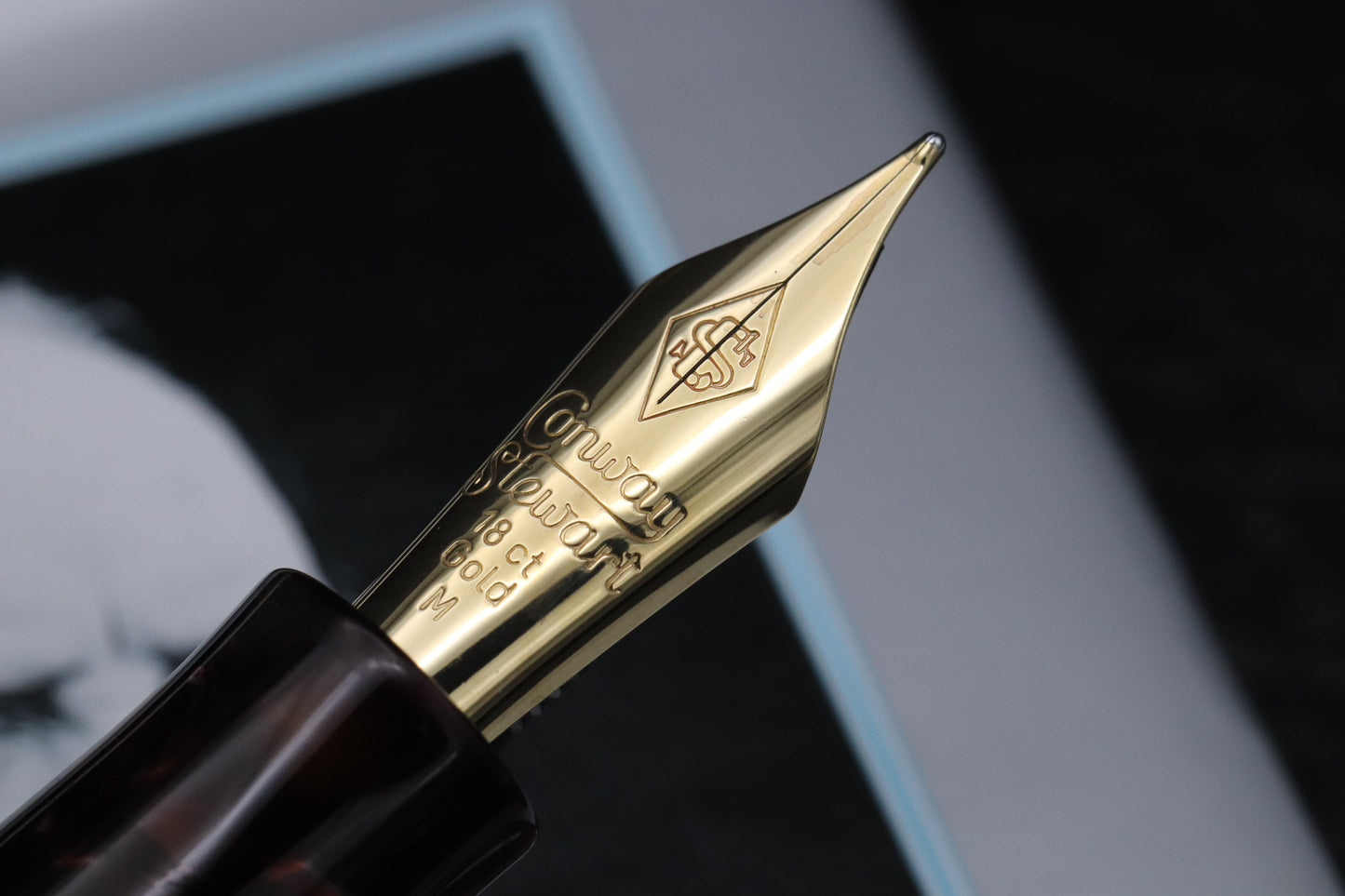Conway Stewart Winston Churchill Rioja Resin Lever Fountain Pen