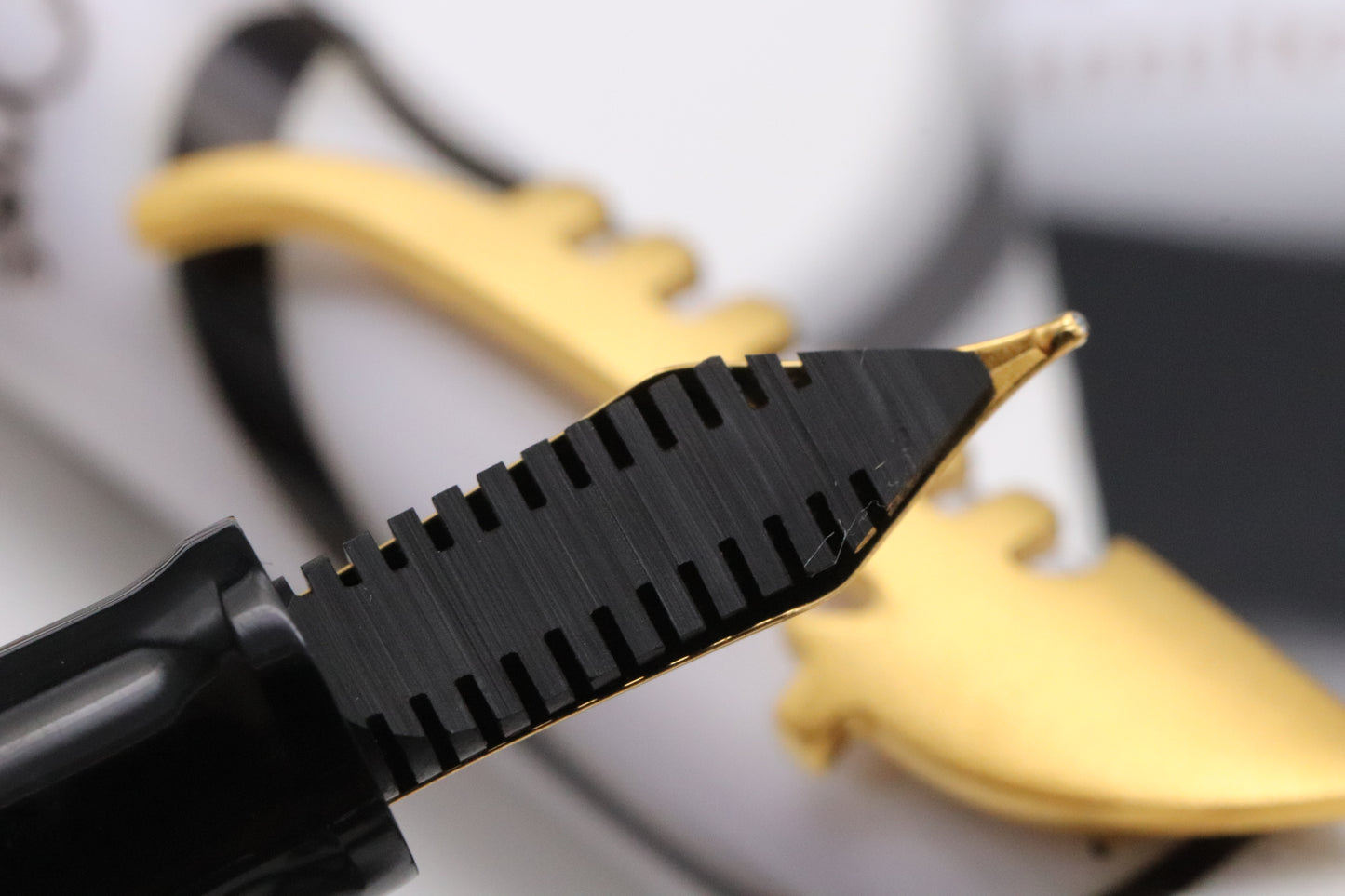 Omas Emozioni di Carnevale Limited Edition Fountain Pen