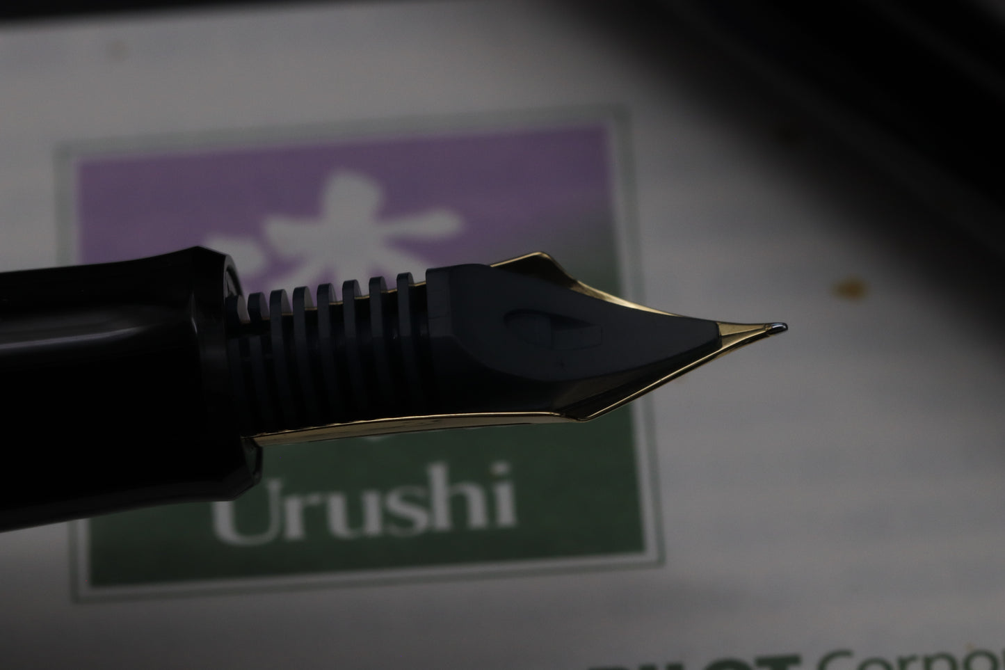 Pilot Custom 845 Urushi Black Fountain Pen - INKED ONCE