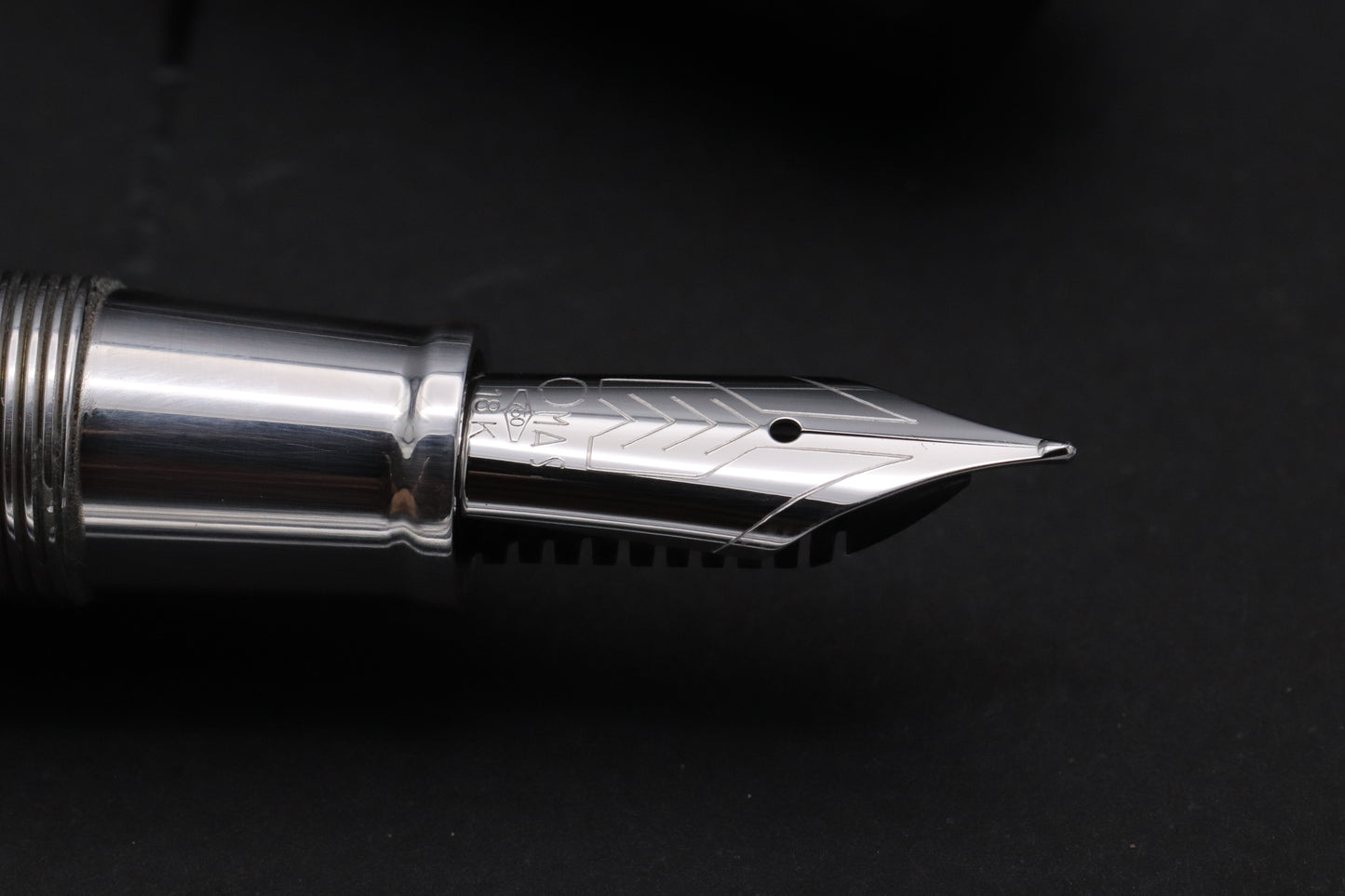 Omas New Style Paragon Ebony Wood Fountain Pen
