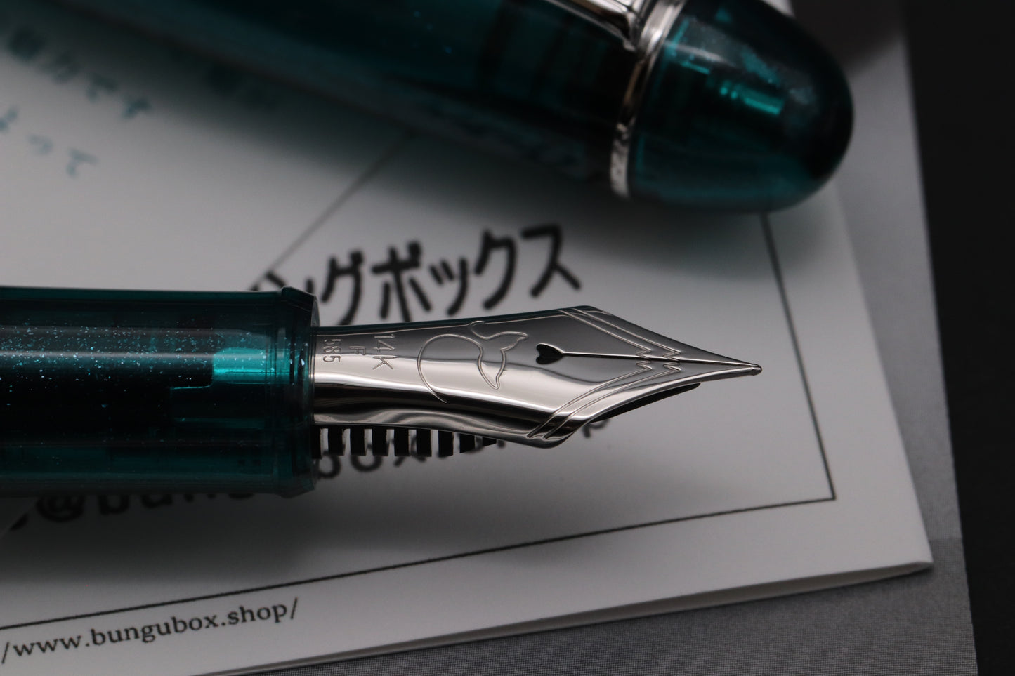 Platinum x BunguBox Blue Marine Fountain Pen - UNUSED