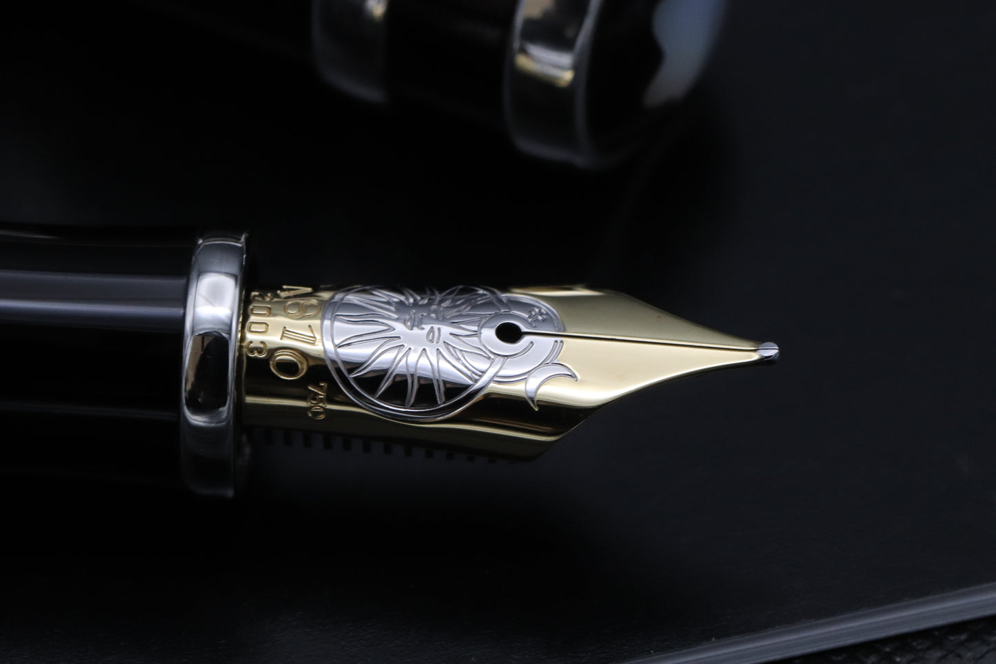Montblanc Patron of Art Nicolaus Copernicus 4810 Fountain Pen - NEVER INKED