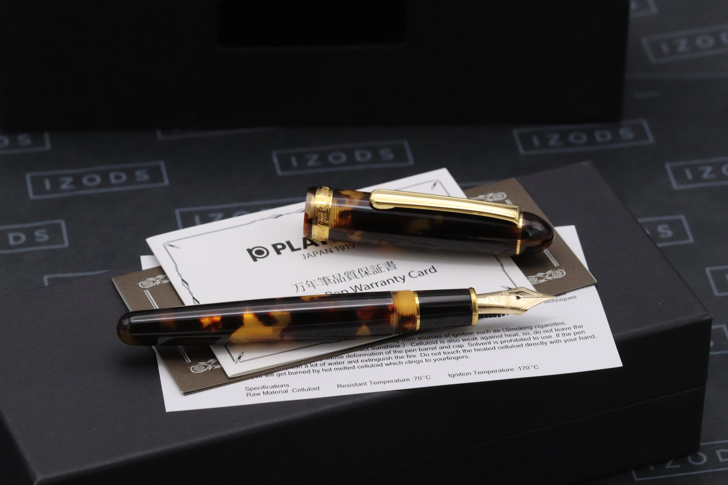 Platinum #3776 Century Tortoiseshell Celluloid Fountain Pen
