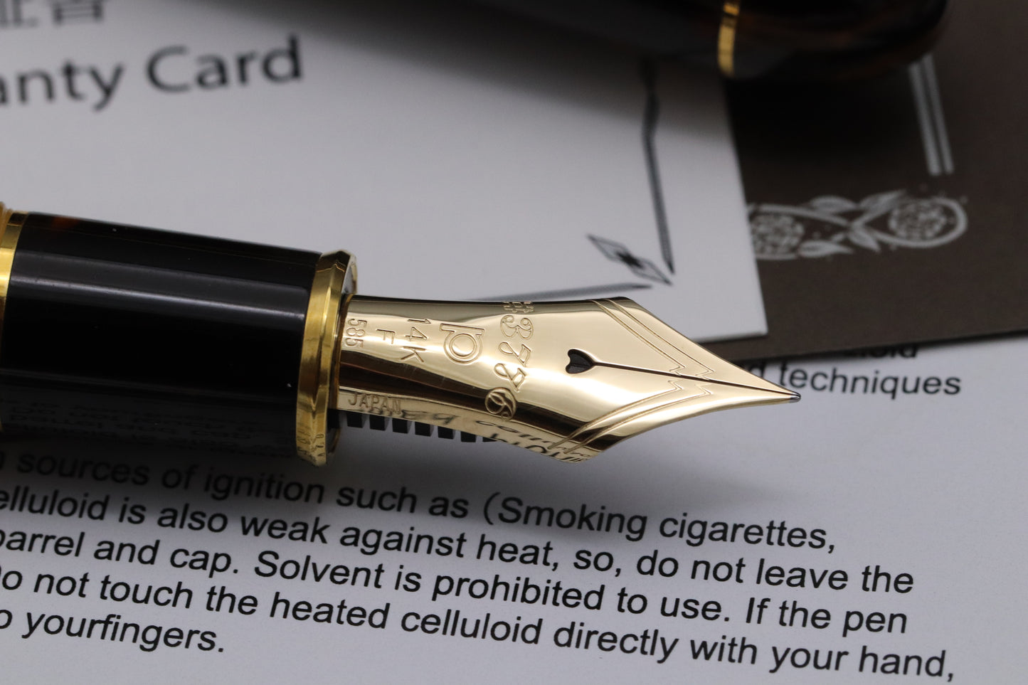 Platinum #3776 Century Tortoiseshell Celluloid Fountain Pen
