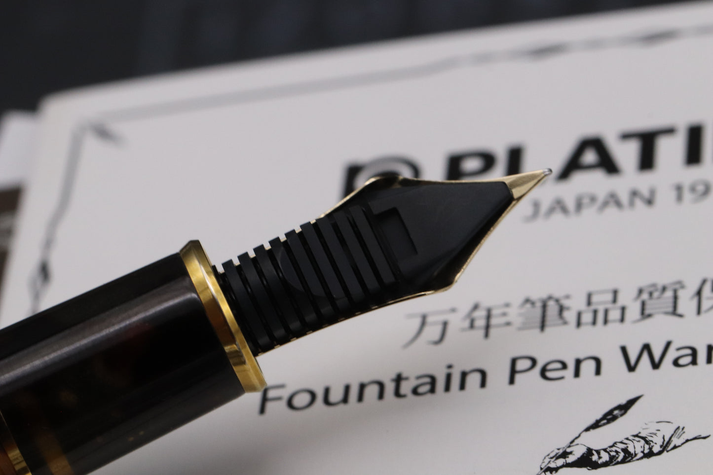 Platinum #3776 Century Tortoiseshell Celluloid Fountain Pen