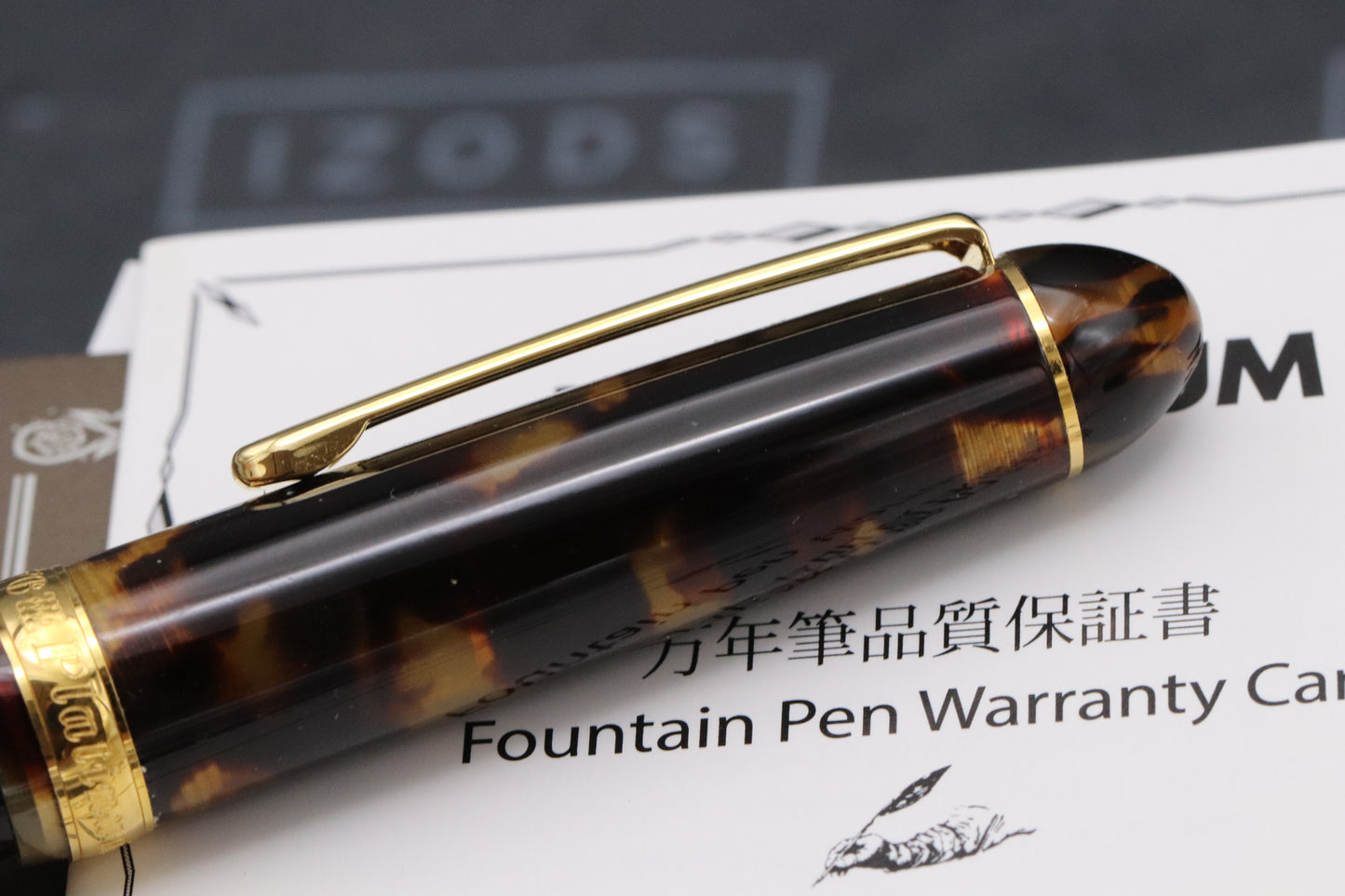 Platinum #3776 Century Tortoiseshell Celluloid Fountain Pen