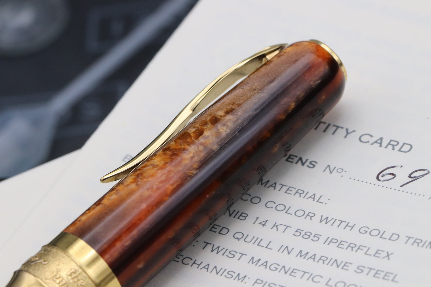Pineider La Grande Bellezza Arco Oak LE88 Gold Trim Fountain Pen