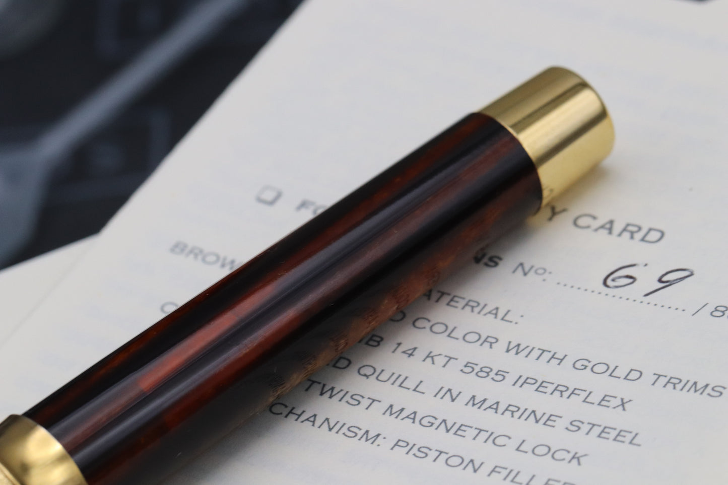Pineider La Grande Bellezza Arco Oak LE88 Gold Trim Fountain Pen