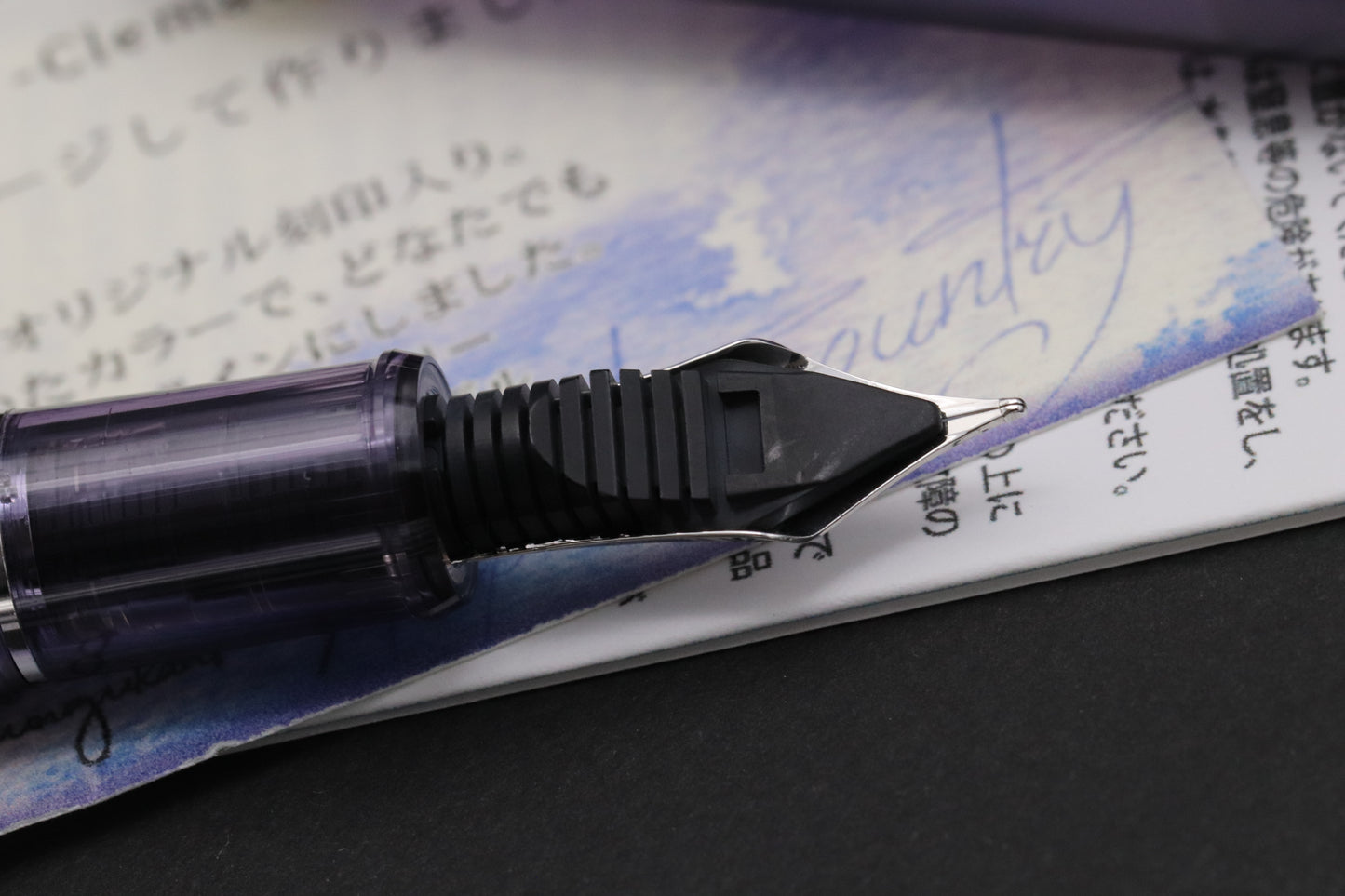 Platinum #3776 Century Bungukan Kobayashi Clematis Fountain Pen - DIPPED