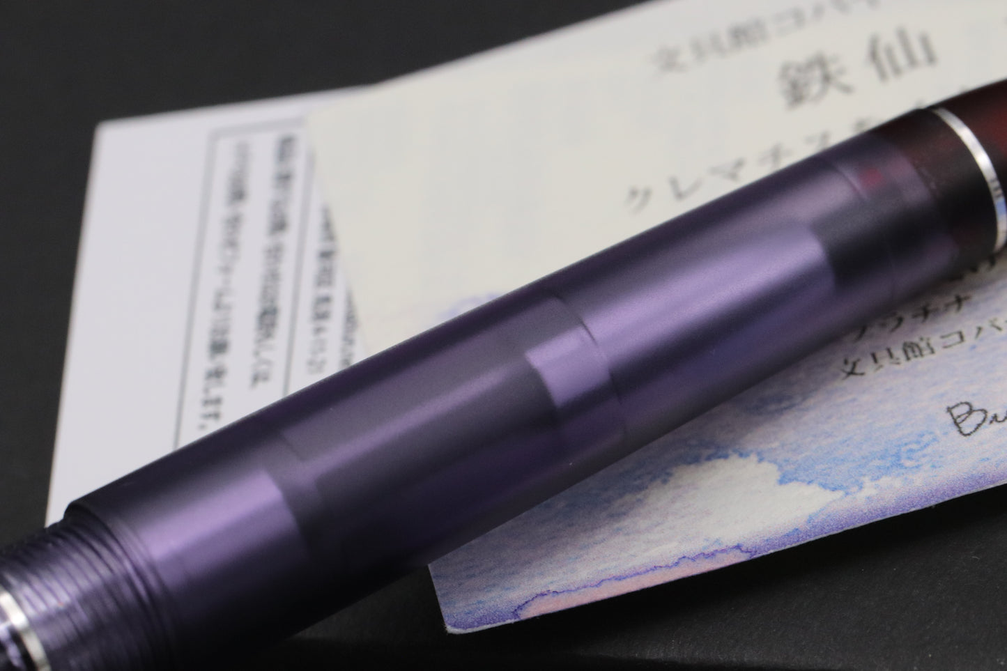 Platinum #3776 Century Bungukan Kobayashi Clematis Fountain Pen - DIPPED