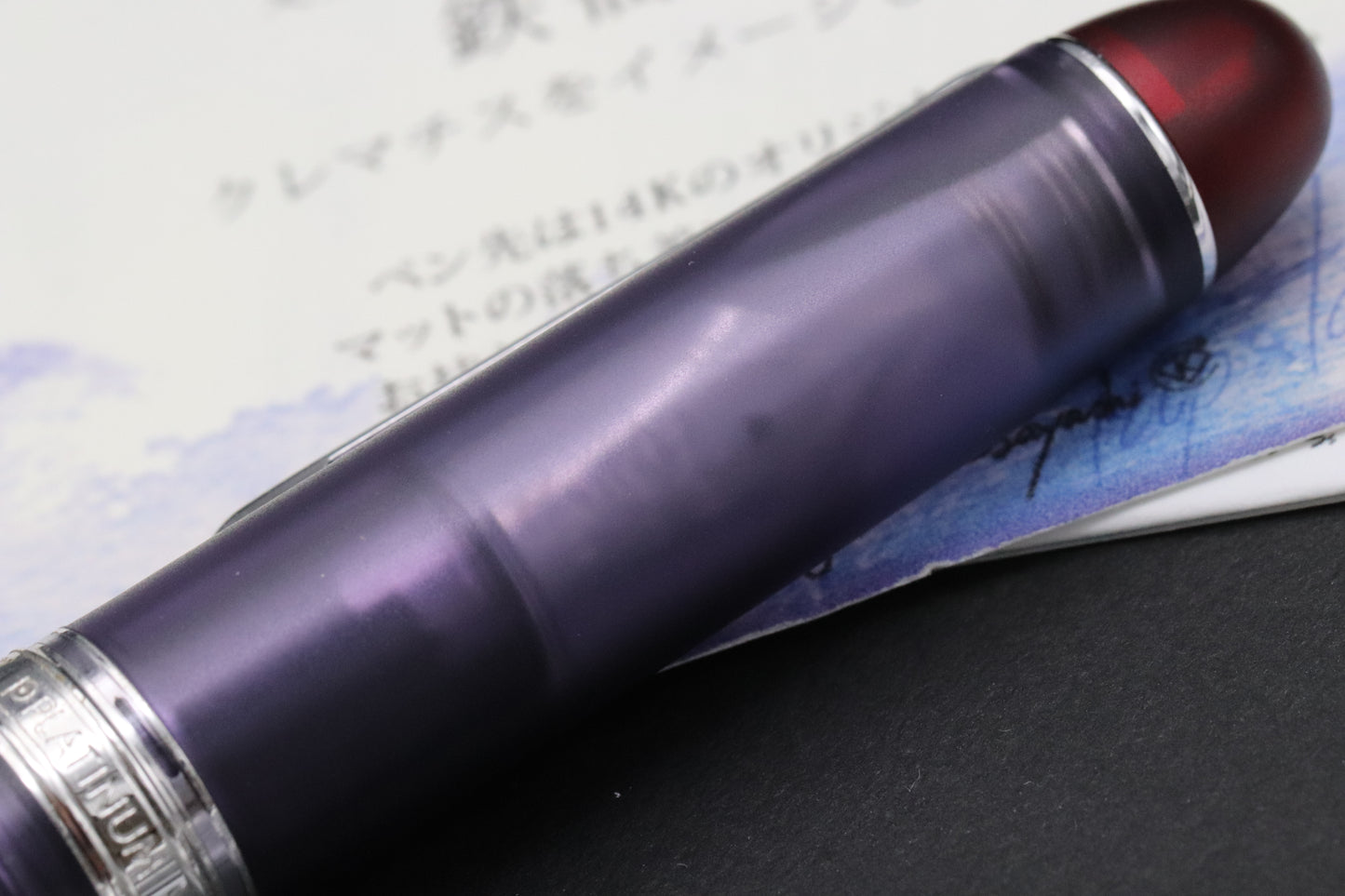 Platinum #3776 Century Bungukan Kobayashi Clematis Fountain Pen - DIPPED