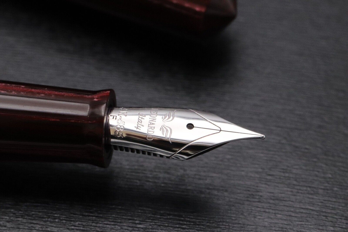 Leonardo Momento Magico Wild World Finestra Panjin LE10 Celluloid Fountain Pen image 2