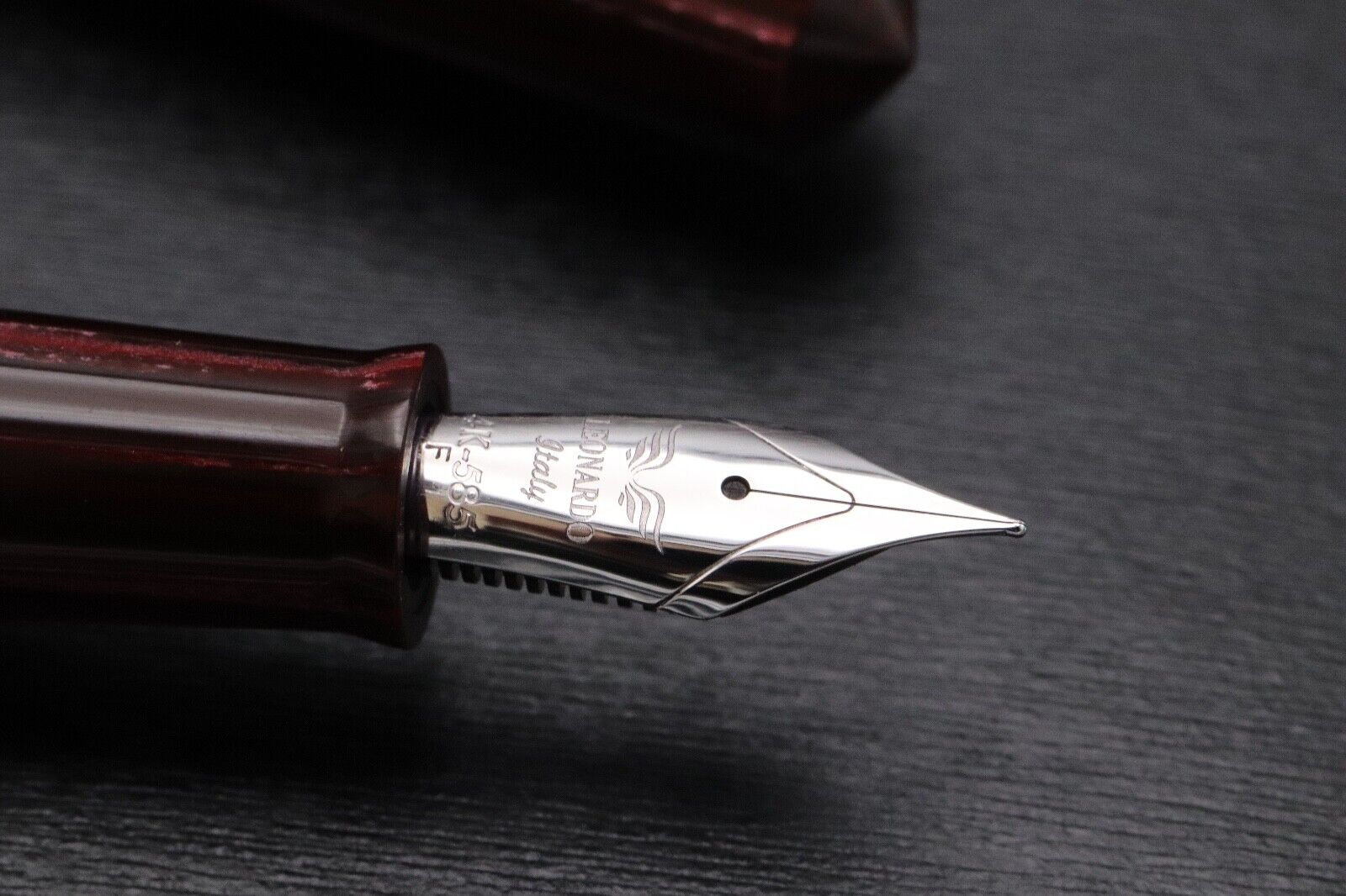 Leonardo Momento Magico Wild World Finestra Panjin LE10 Celluloid Fountain Pen image 2