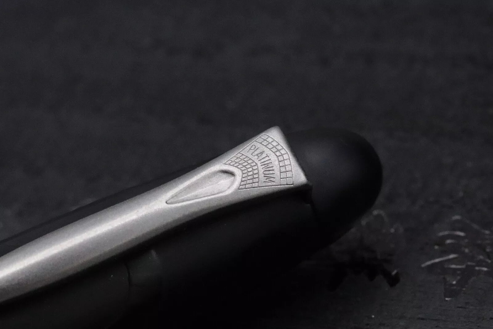 Platinum Izumo Shikoku Tiger in The Bamboo Forest Fountain Pen image 6