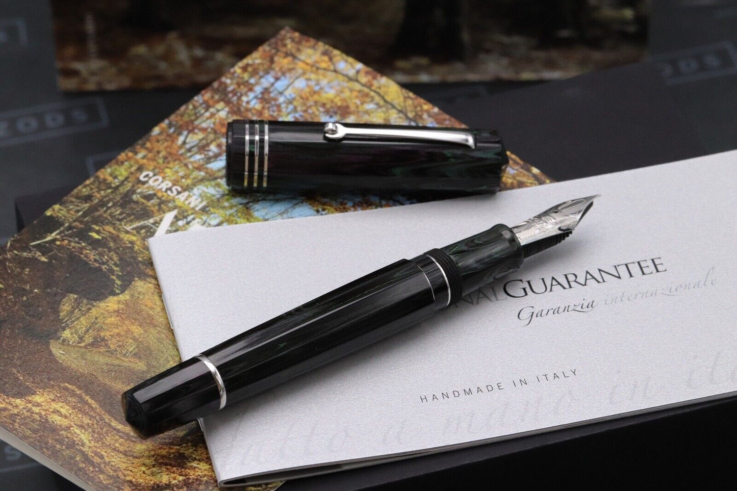 Leonardo Corsani Arborea 2023 Beech Ebonite Fountain Pen - CSI M #8 Nib image 1