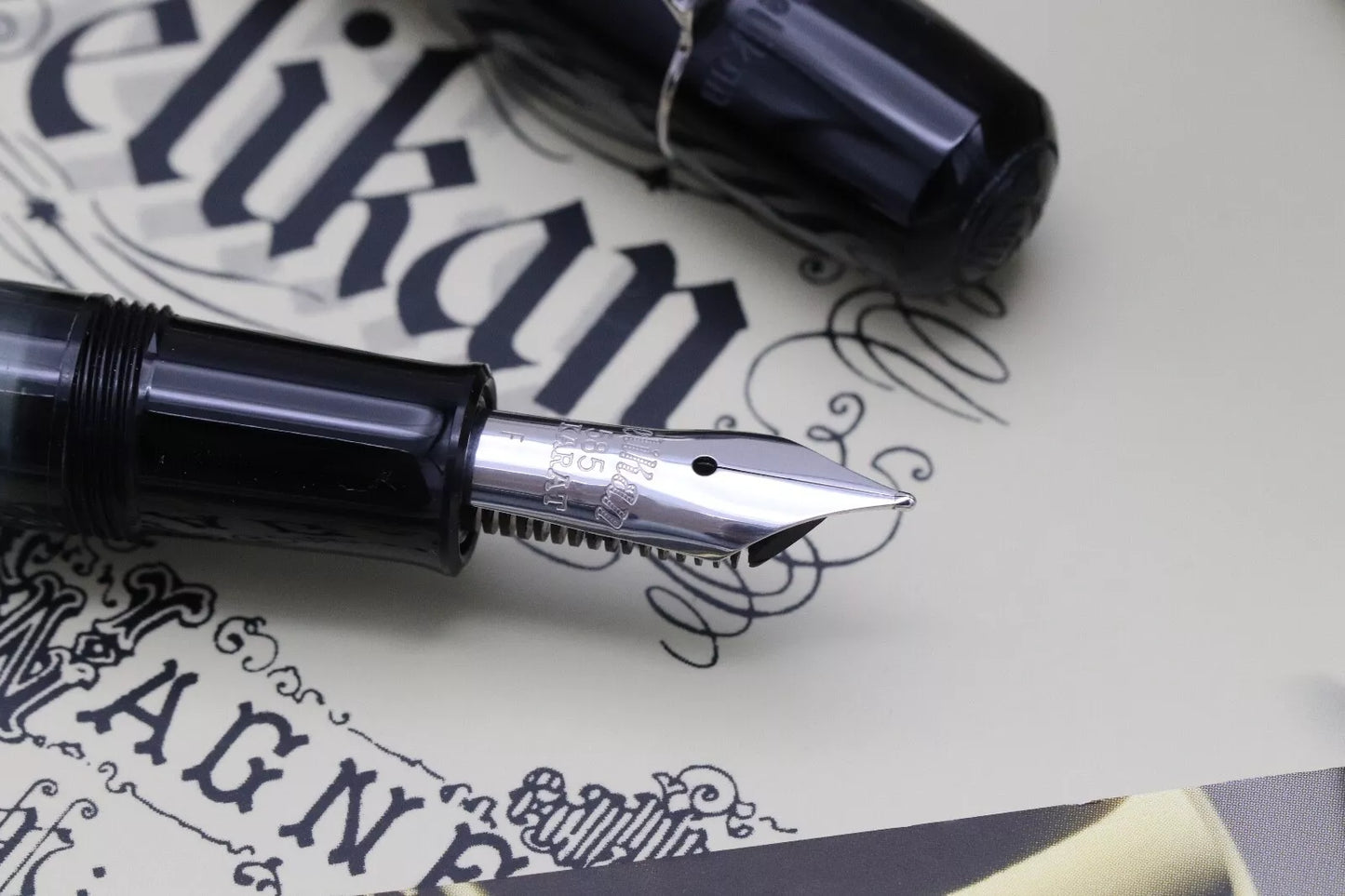 Pelikan M101N Grey Blue Special Edition Fountain Pen image 2