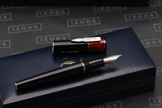 Delta Icon Fountain Pen - NEVER INKED image 1
