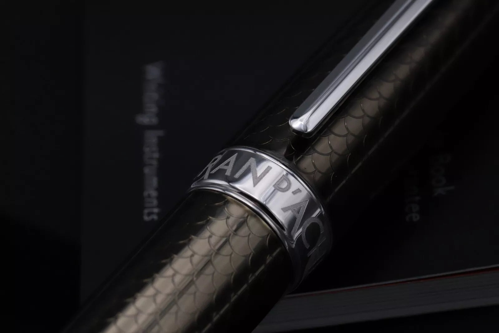 Caran d'Ache Leman Caviar Fountain Pen - INKED ONCE image 5