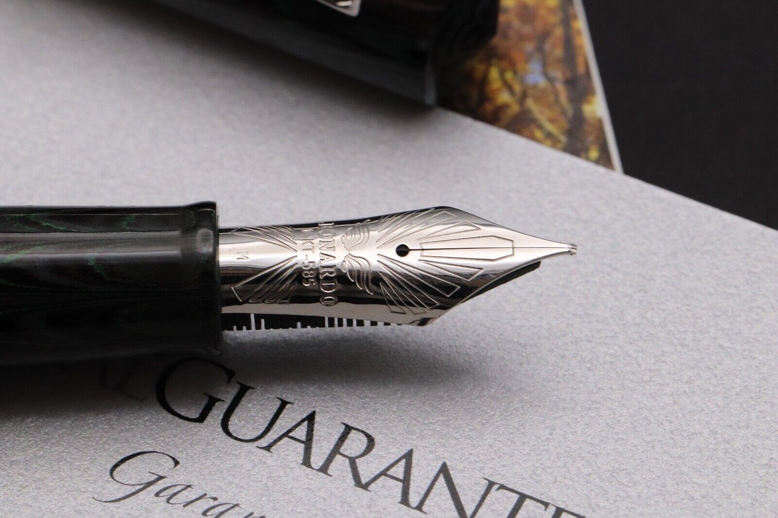 Leonardo Corsani Arborea 2023 Beech Ebonite Fountain Pen - CSI M #8 Nib image 2