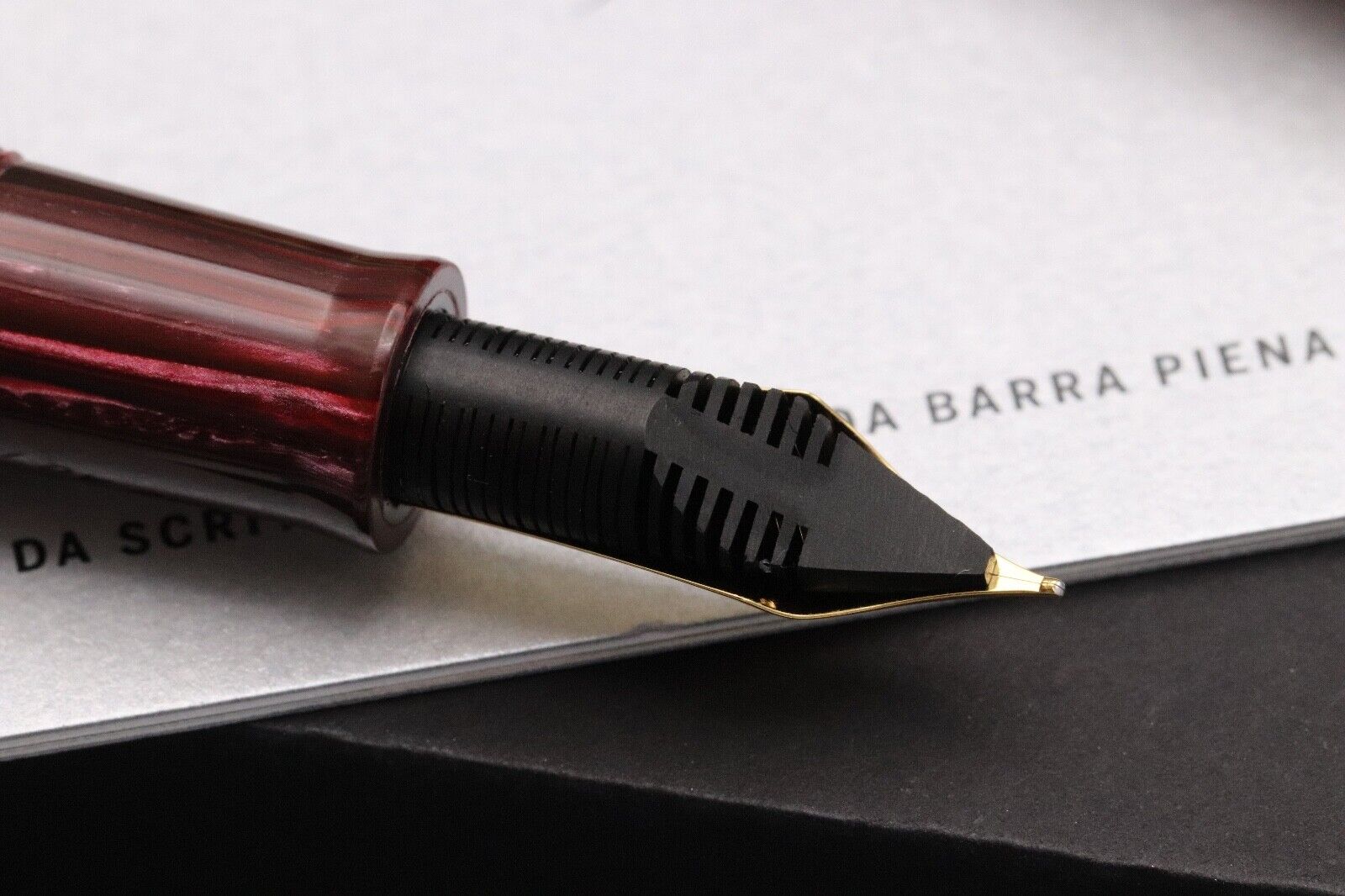 Leonardo MZ Grande Rubino Celluloid Fountain Pen - Medium #8 La Fenice Nib image 4